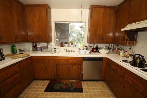 Clean, Kind and Peaceful image 10