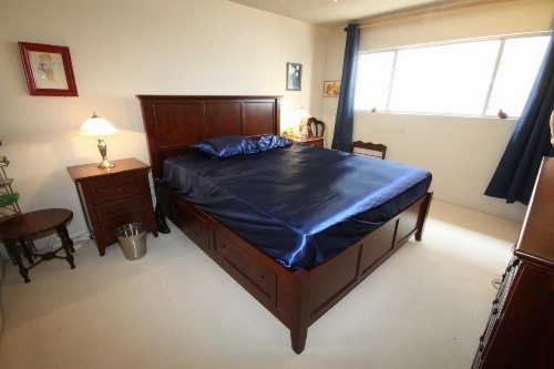 Clean, Kind and Peaceful image 20