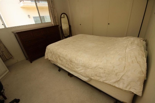 Clean, Kind and Peaceful image 30